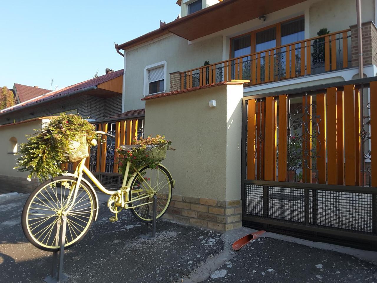 Eurovelo6 Stop Solt Luaran gambar